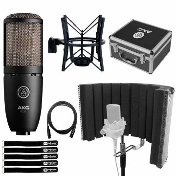 AKG P220 Perception 220 Condenser Microphone with Isolation Shield