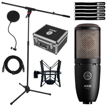 AKG Perception P220 Diaphragm Condenser Microphone with Boom Stand