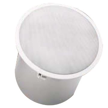 Electro-Voice EVID C10.1 10" High‑Power Ceiling Subwoofer