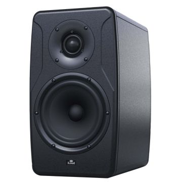 IK Multimedia MON-PRECISION-650-IN 6.5" Two-Way Reference Monitor