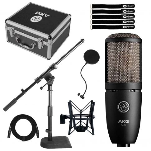 AKG Perception P220 Condenser Microphone with Combo Desk Stand
