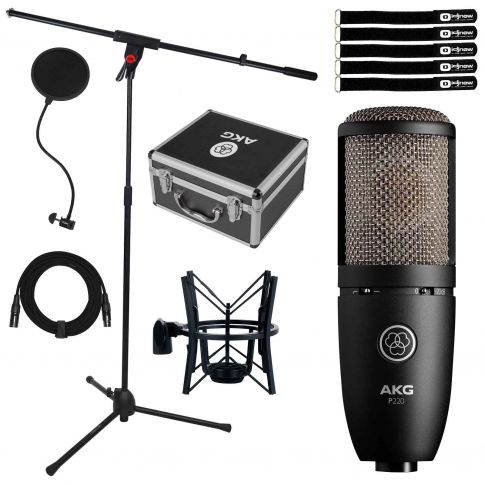 AKG Perception P220 Diaphragm Condenser Microphone with Boom Stand